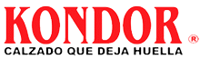 Kondor